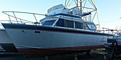 rsz_20151115_160209 resize.jpg