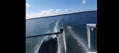 Screenshot_20230904_174011_Samsung Internet.jpg