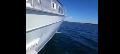 Screenshot_20230904_173931_Samsung Internet.jpg