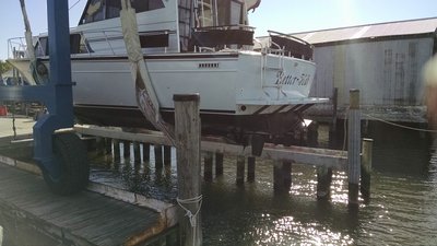 Launch Spring 2016.jpg